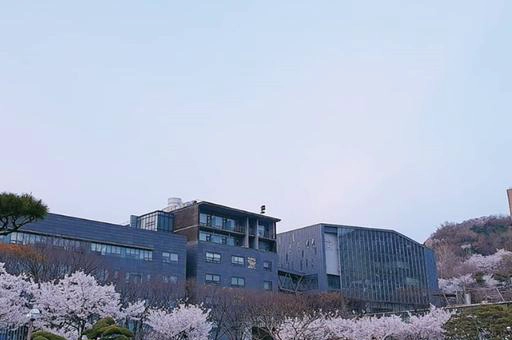 崇实大学